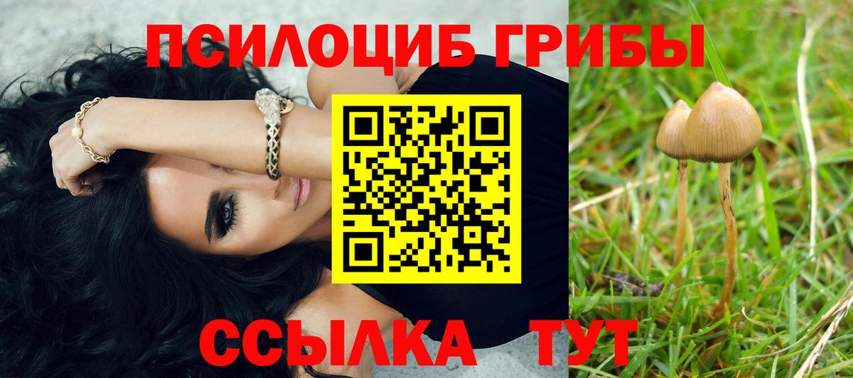 Ипатово  Псилоцибиновые грибы мухоморы  Вход с VPN  Псилоцибиновые грибы Magic Shrooms 