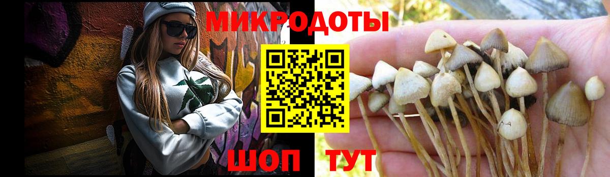 Галлюциногенные грибы прущие грибы Ипатово