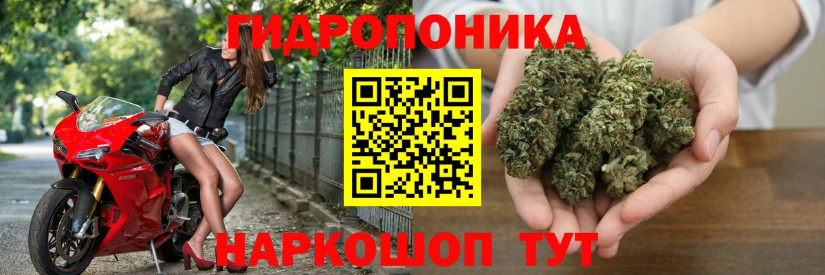 Марихуана планчик  Бошки марихуана план  Конопля семена  Бошки Шишки планчик  Вход с VPN  Ипатово 